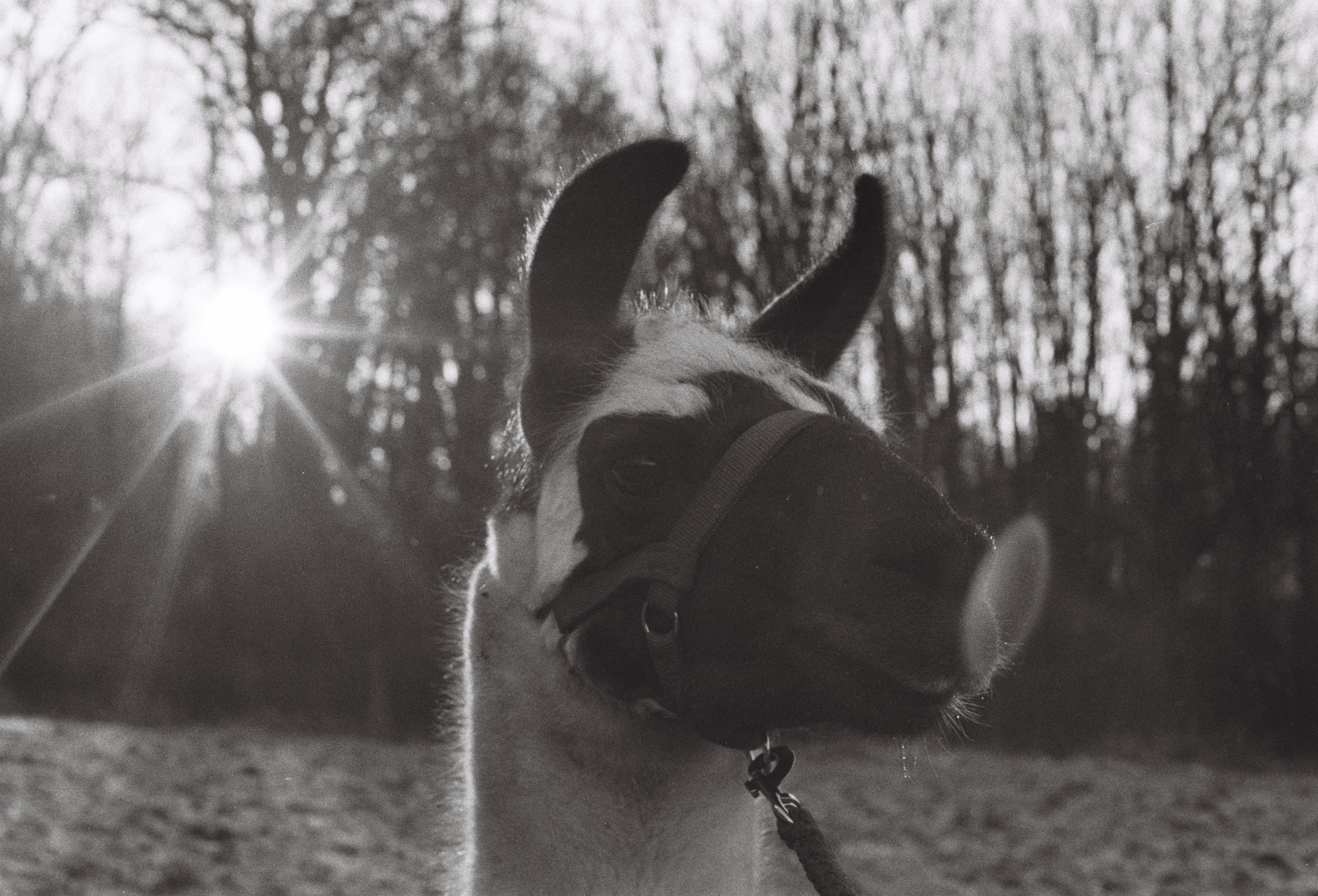 someone is showing something